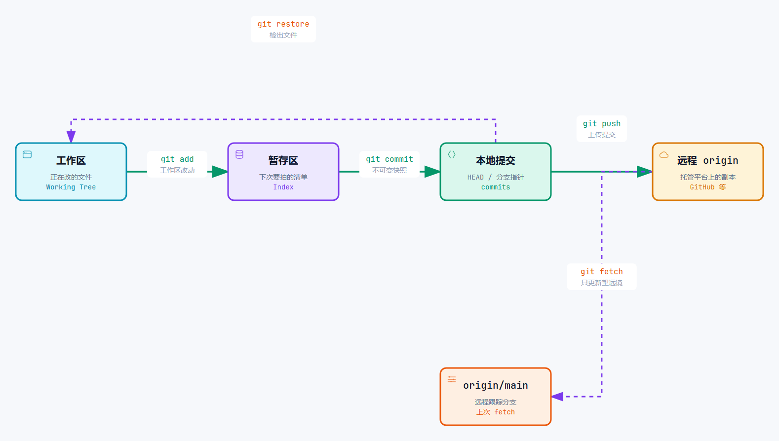 Git 四层：工作区到远程。git add / commit / push 是主路径；git restore 从本地提交取回文件；git fetch 只更新 origin/main。